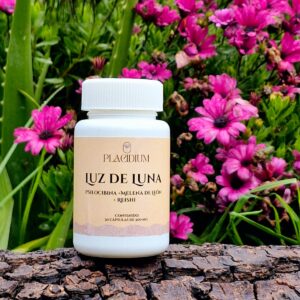 Psilocibina + Melena de León + Reishi. Cápsulas x 30