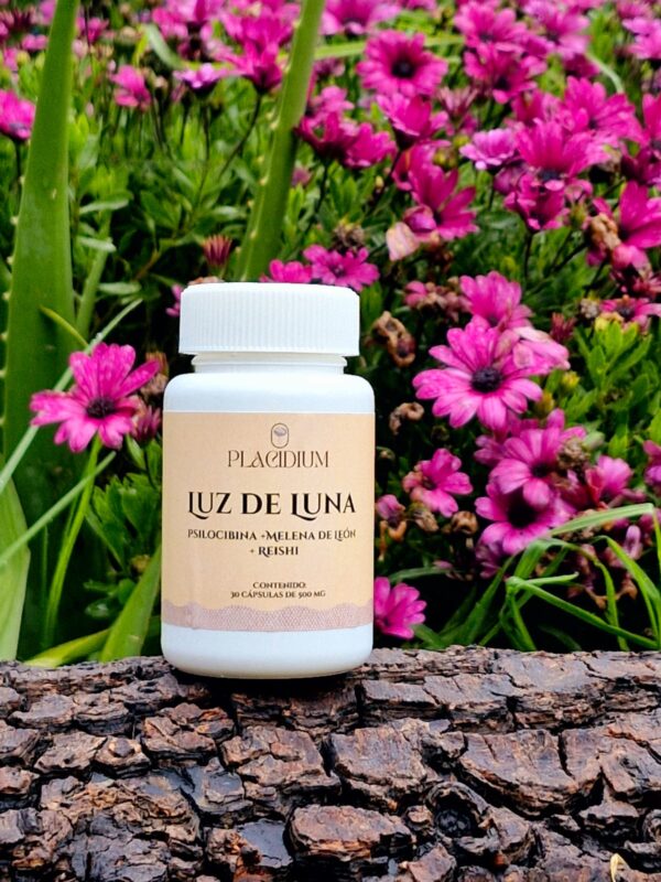 Psilocibina + Melena de León + Reishi. Cápsulas x 30