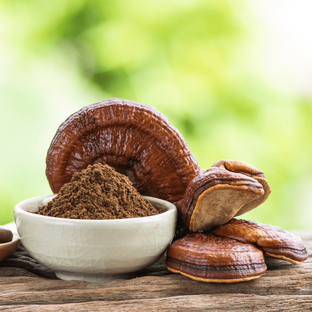 Organic-Reishi-Capsules
