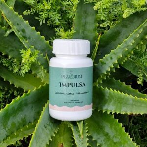 Ginseng Panax. Cápsulas x 30.