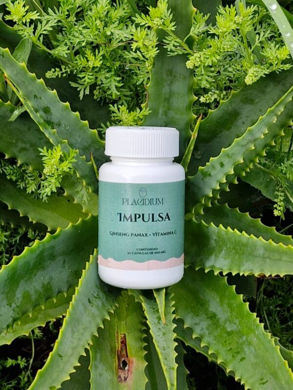 Ginseng Panax. Cápsulas x 30.
