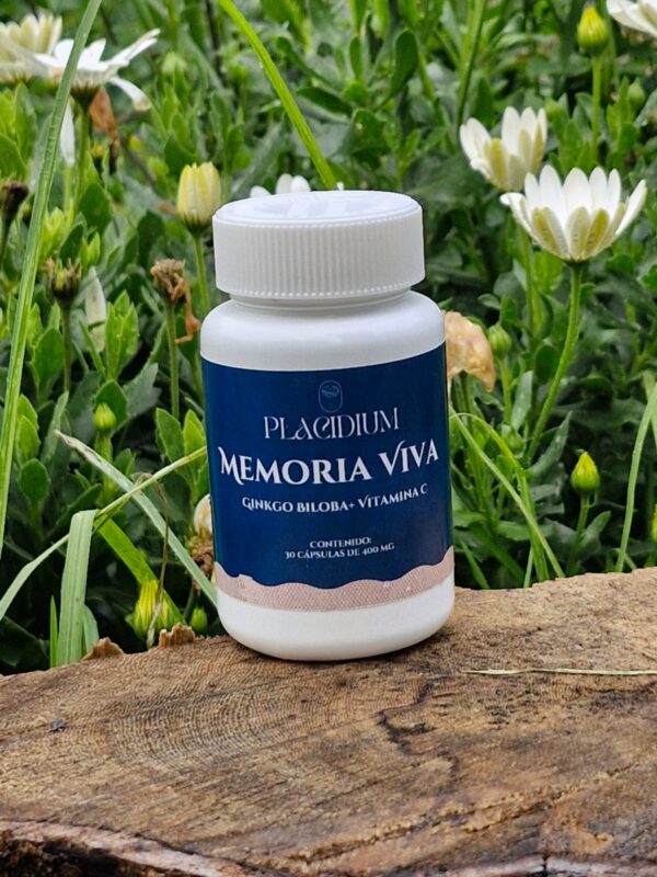 Ginkgo Biloba. Cápsulas x 30