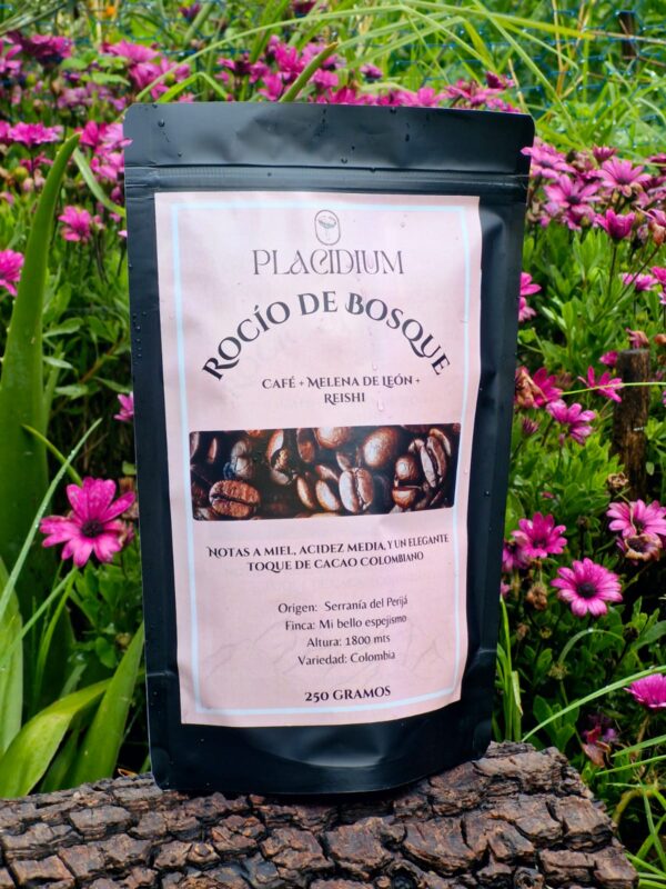 Café + Melena de León + Reishi. 250 Gramos