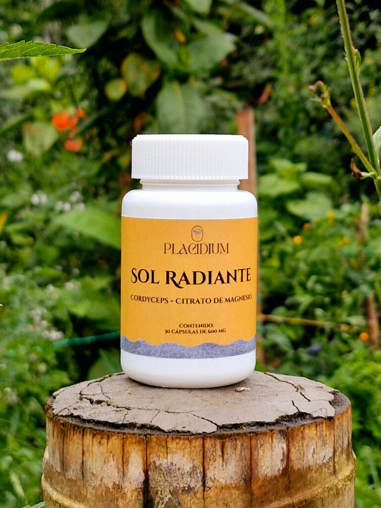 Cordyceps. Cápsulas x 30